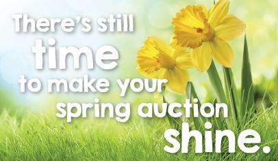 Last-Minute Tips for Spring Auctions 